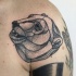 grigio nero testa di orso tatuaggio sulla  spalla
