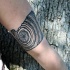 Schwarzes Arm Tattoo mit Querschnitt des Baumes