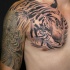 Tatuaggio di petto in stile asiatico con inchiostro nero del ritratto di tigre