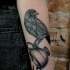 Tatuaggio nero sul braccio il corvo stilizzato con la tazza