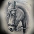 Black ink shoulder tattoo of cool looking horse