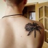 Black tarantula tattoo on shoulder blade