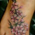 Tatuaje en el pie, rama de sakura preciosa