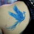 Blauer Phönix Tattoo am Schulterblatt für Mädchen