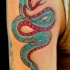 serpente blu rosso tatuaggio sulla spalla