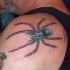 Blue spider tattoo on shoulder