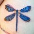 Tatuaje  de la libélula de color azul brillante