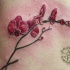 Tatuaje de orquídeas rojos  en las costillas