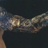 Tatuaje espléndido de brazo mecánico detallado