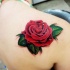 meravigliosa 3D rosa rossa con gocce d'acqua tatuaggio su spalla
