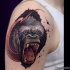 Cartoon style colored shoulder tattoo of crazy monkey