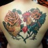 bella coppia gallo e gallina con cuore e rose tatuaggio colorato