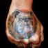 Colored hand tattoo of creepy dog with feather