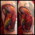 Colored Realism style shoulder tattoo of big parrot