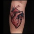 Colored simple looking vintage style forearm tattoo of human heart