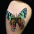Colored thigh tattoo of natural looking butterfly