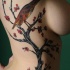 Colorful bird on a tree tattoo