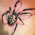 Colorful spider tattoo