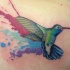 Tatuaggio colorato sulla spalla il colibrì