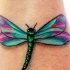 bellissime colorate libellule tatuaggio