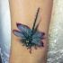 colorato piccolo libellula tatuaggio