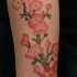 Tatuaje  de cereza en flor en el antebrazo