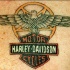 fresco colorato harley devidson logo tatuaggio