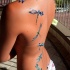 fresca idea di libellule tatuaggio sulla schiena