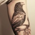 Tatuaje  de cuervo precioso en la rama