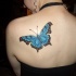 Tatuaje en el hombro,
mariposa azul claro