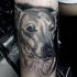 Tatuaje en el antebrazo, retrato de perro encantador