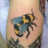 Tatuaggio colorato sulla gamba l'ape & i fiori