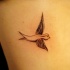 carino piccolo uccello particolare tatuaggio