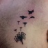 dente di leone e uccelli tatuaggio per ragazzo