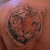 Tatuaje en el hombro, rostro de tigre lindo realista