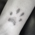 Tatuaggio piccolo stile alla ricerca di piccoli animali con impronte di animali