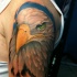 Tatuaggio realistico sul deltoide l'aquila colorata