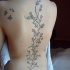 Tatuaje  de vid preciosa a lo largo de la columna vertebral