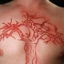 elegante albero  scarificazione pelle sul petto
