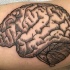 Engraving style black ink biceps tattoo of human brain