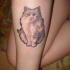 soffice gatto grigio tatuaggio sul braccio