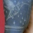 Tatuaje en el brazo, colibrí lindo de tinta blanca en el fondo negro