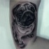 Tatuaje en el brazo, doguillo hermoso en botas bonitas