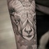 Geometrical style black ink arm tattoo of goat head with ornaments