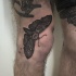 Gray ink stippling style flying mouth super detailed tattoo near man's knee
