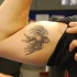 Tatuaje en el brazo, gorrión gris