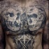 Gray washed style black ink chest tattoo of monkey skulls with lettering and DNA
