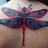 Great colorful dragonfly on back