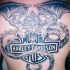Tatuaje en la espalda,
dragón feroz con logo de harley davidson