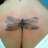 grande elegante libellula tatuaggio sulla schiena